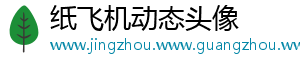纸飞机动态头像